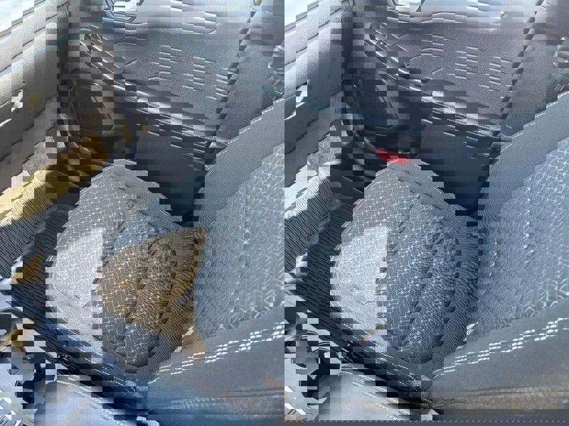 Used 2023 Ford Escape Active w/ Tech Pack #2 image 15