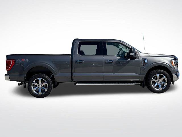 Used 2022 Ford F150 XLT w/ Equipment Group 302A High AWD/4WD image 8