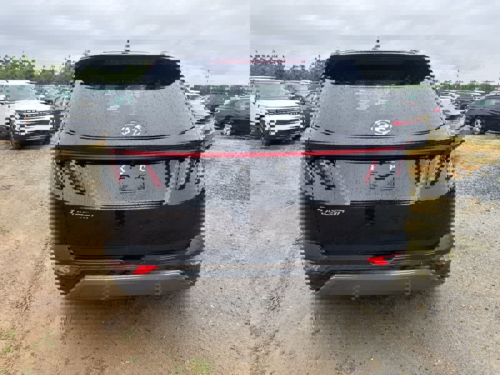 Used 2024 Hyundai Tucson Limited image 6