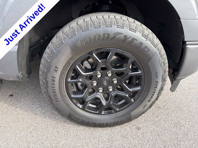 Used 2024 Ford F150 XLT w/ Equipment Group 302A MID AWD/4WD image 23