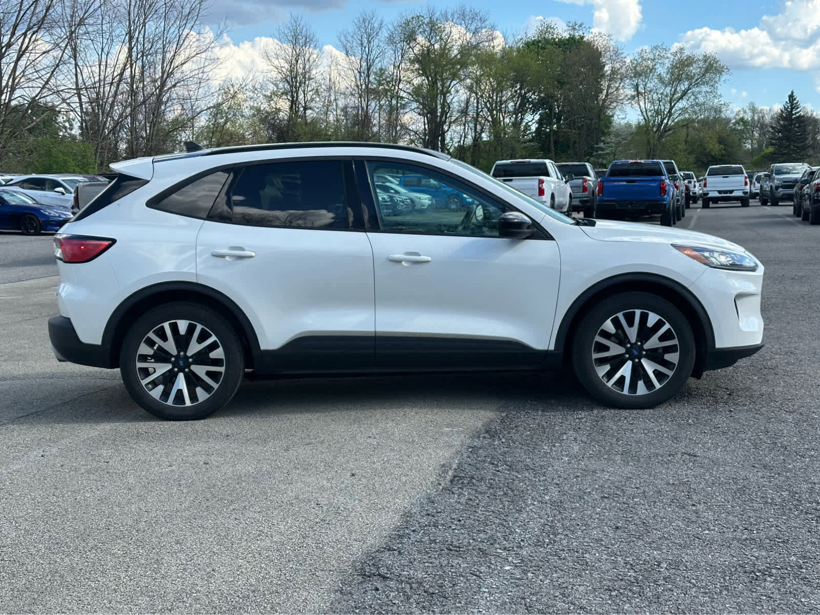 Used 2020 Ford Escape SE Sport AWD/4WD image 8