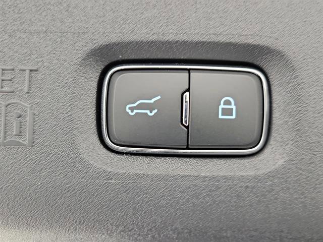 New 2025 Ford Expedition Tremor image 11