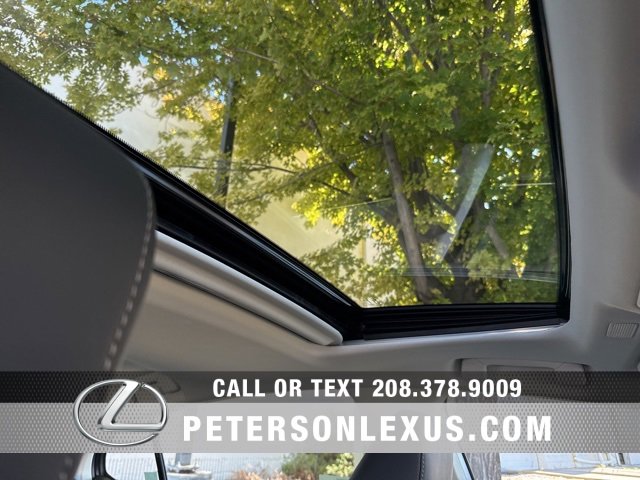 New 2025 Lexus ES 300h w/ Premium Package image 12