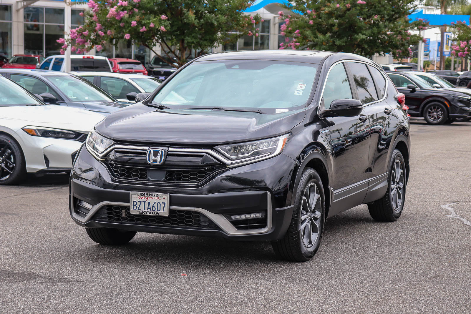 Certified 2022 Honda CR-V EX-L image 3