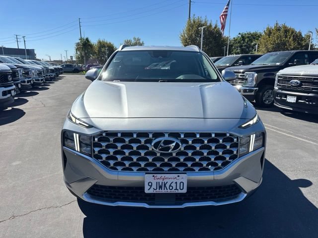 Used 2023 Hyundai Santa Fe Blue AWD/4WD image 5