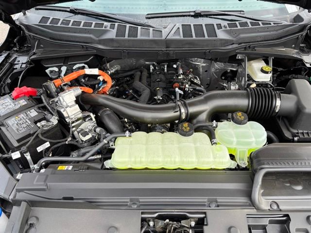 New 2025 Ford F150 XLT w/ Equipment Group 302A MID image 27