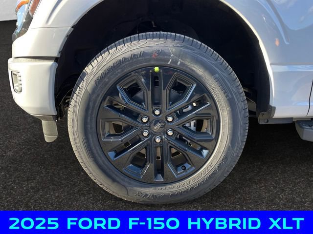 New 2025 Ford F150 XLT w/ Equipment Group 302A MID image 14