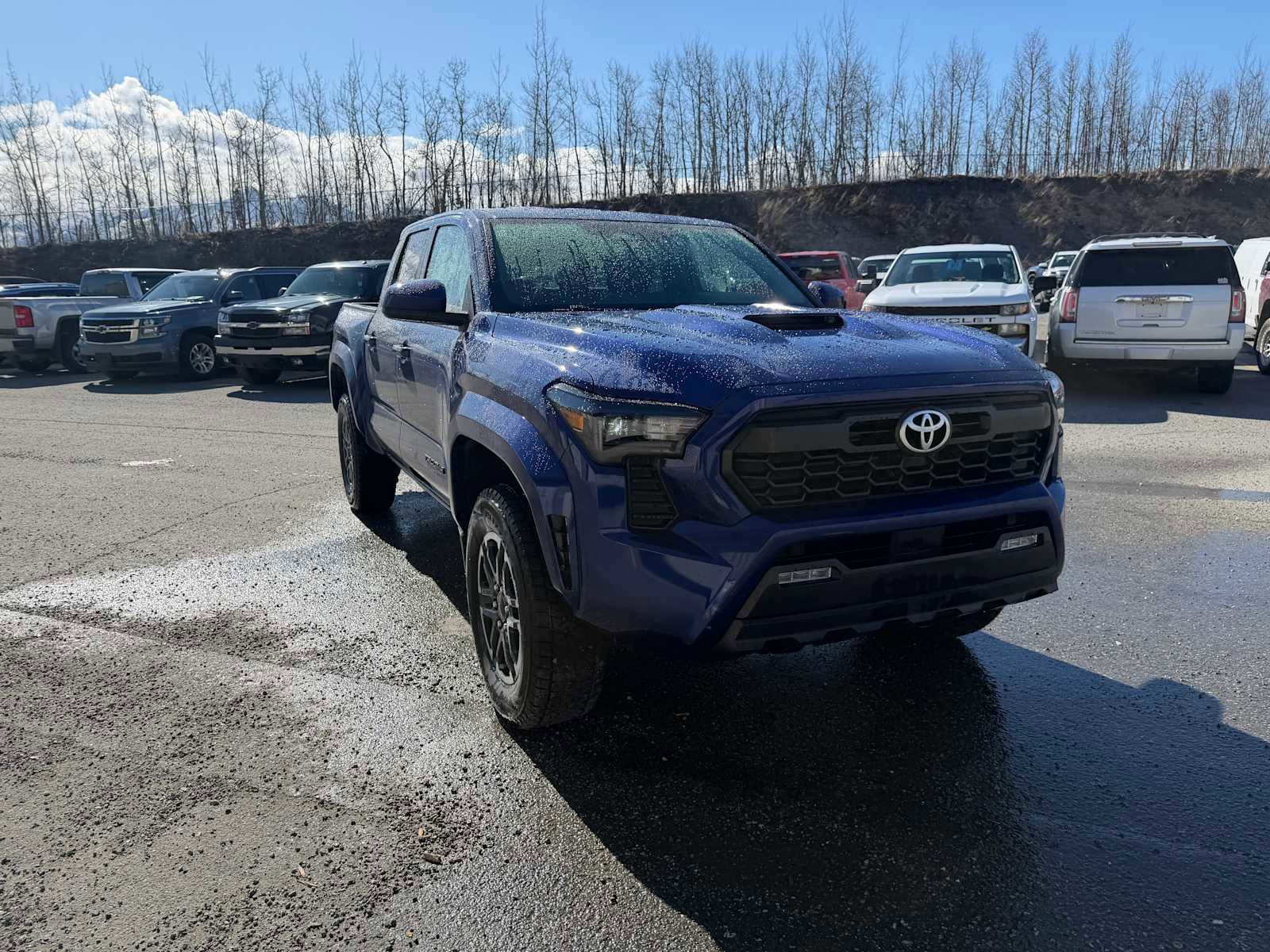 Used 2024 Toyota Tacoma TRD Sport AWD/4WD image 5