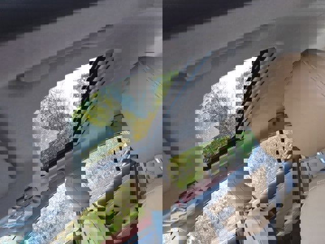 New 2025 Nissan Sentra SV w/ SV Premium Package image 25