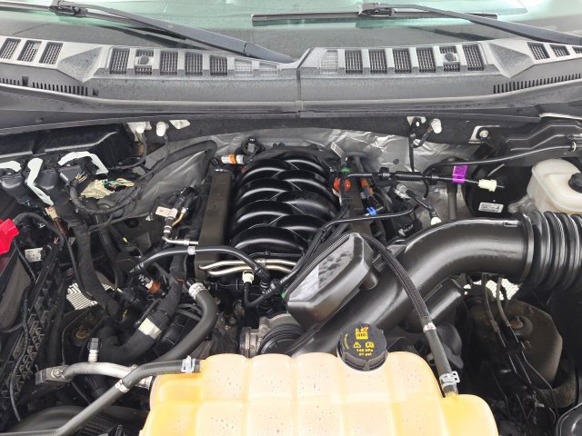 Used 2018 Ford F150 XLT w/ Equipment Group 302A Luxury AWD/4WD image 10