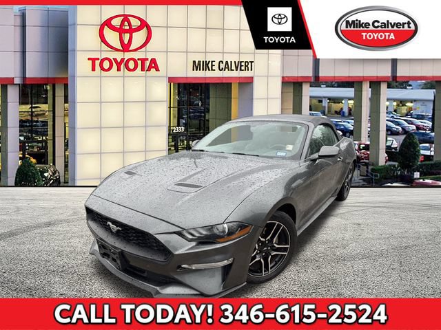 Used 2019 Ford Mustang Premium