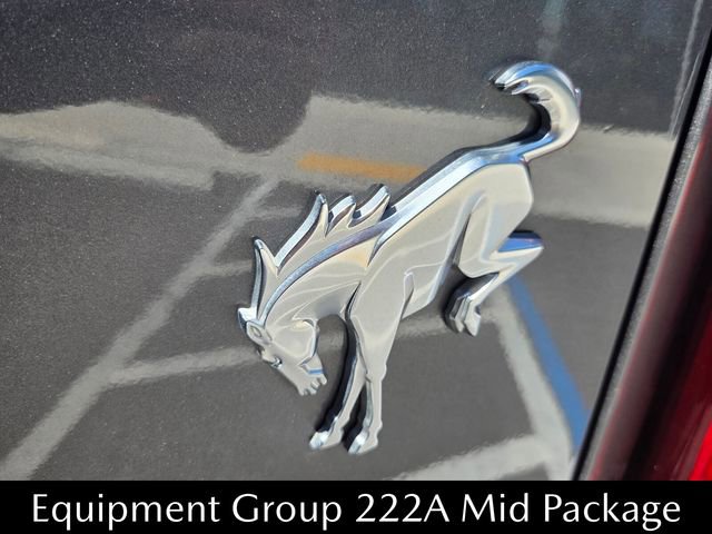 Used 2025 Ford Bronco Big Bend image 13