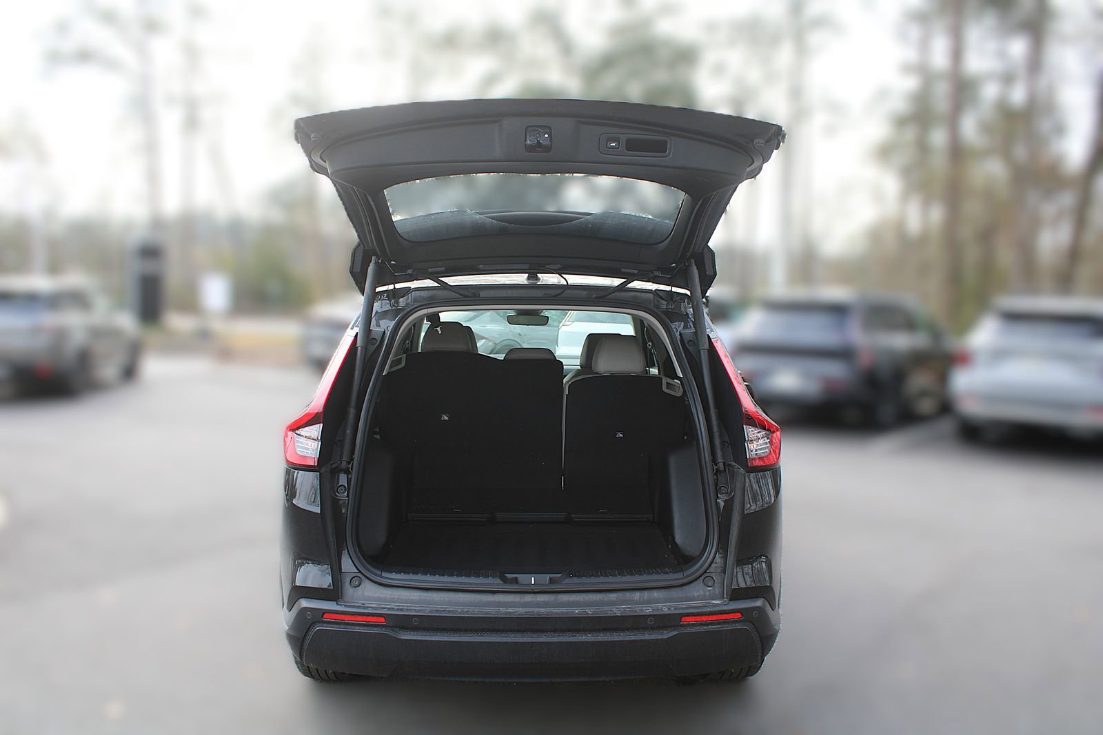 Used 2025 Honda CR-V EX-L image 9