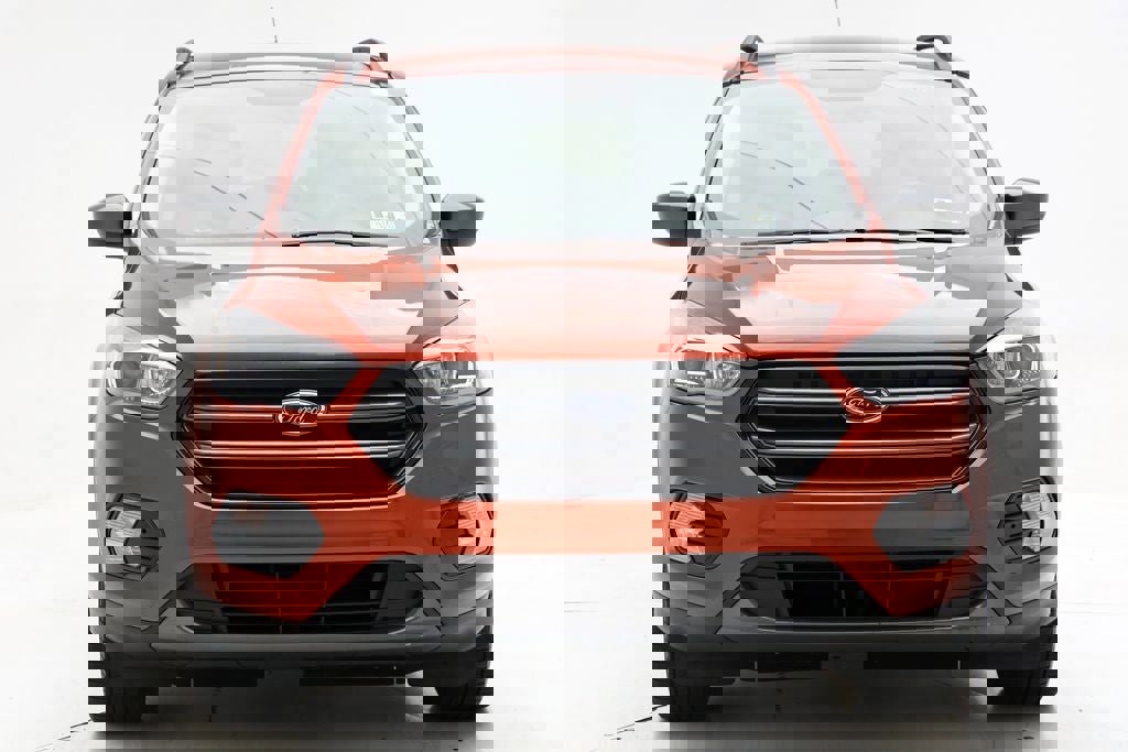 Used 2019 Ford Escape SEL AWD/4WD image 4