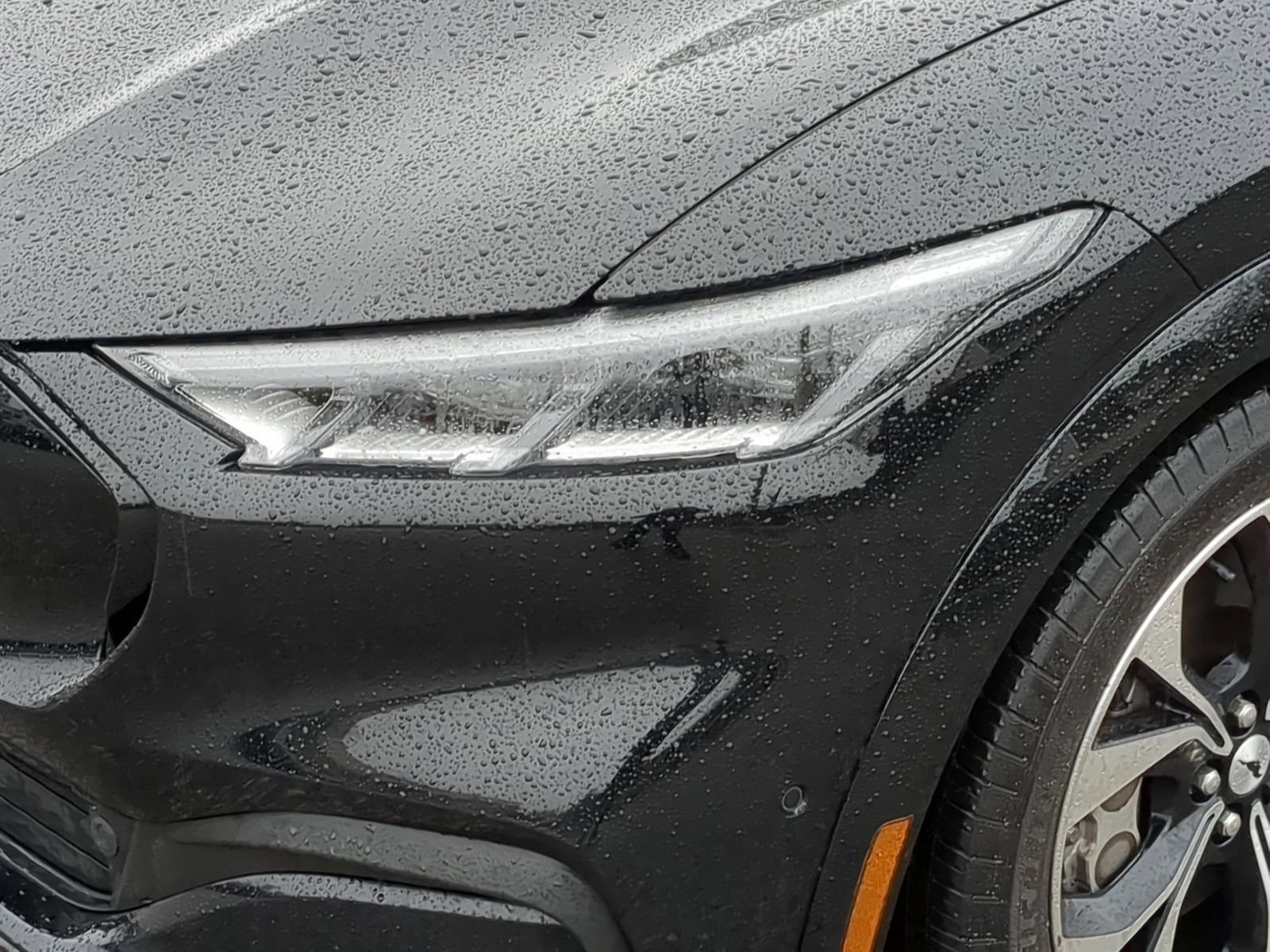 Used 2021 Ford Mustang Mach-E Premium image 15