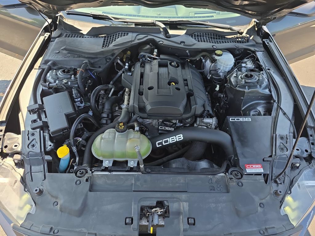 Used 2019 Ford Mustang Premium w/ Ford Safe & Smart Package RWD image 32