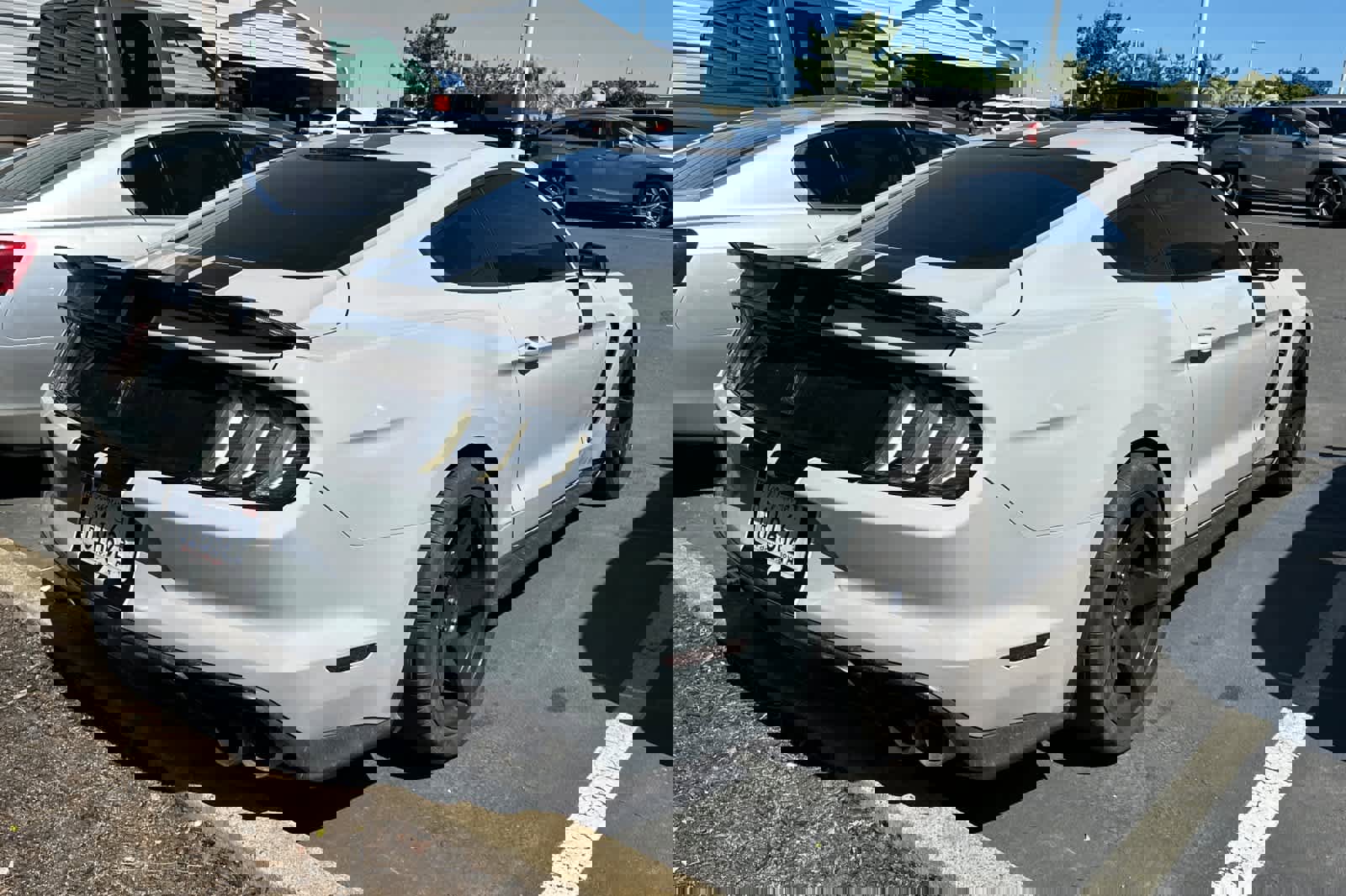 Used 2016 Ford Mustang Shelby GT350 w/ Technology Package RWD image 2