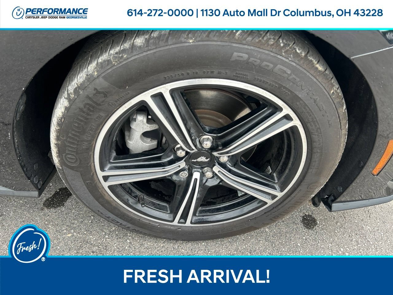 Used 2024 Ford Mustang Coupe RWD image 10