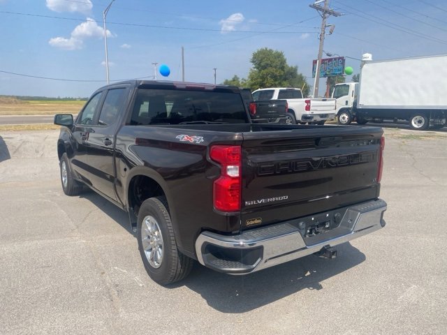 Used 2019 Chevrolet Silverado 1500 LT w/ All-Star Edition image 4
