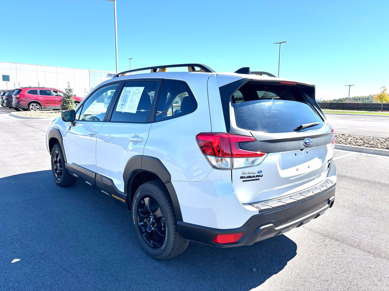 Certified 2025 Subaru Forester Wilderness w/ Wilderness Package AWD/4WD image 5