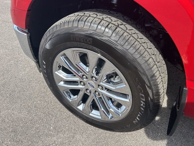 Used 2024 Ford F150 XLT w/ Equipment Group 302A MID image 4