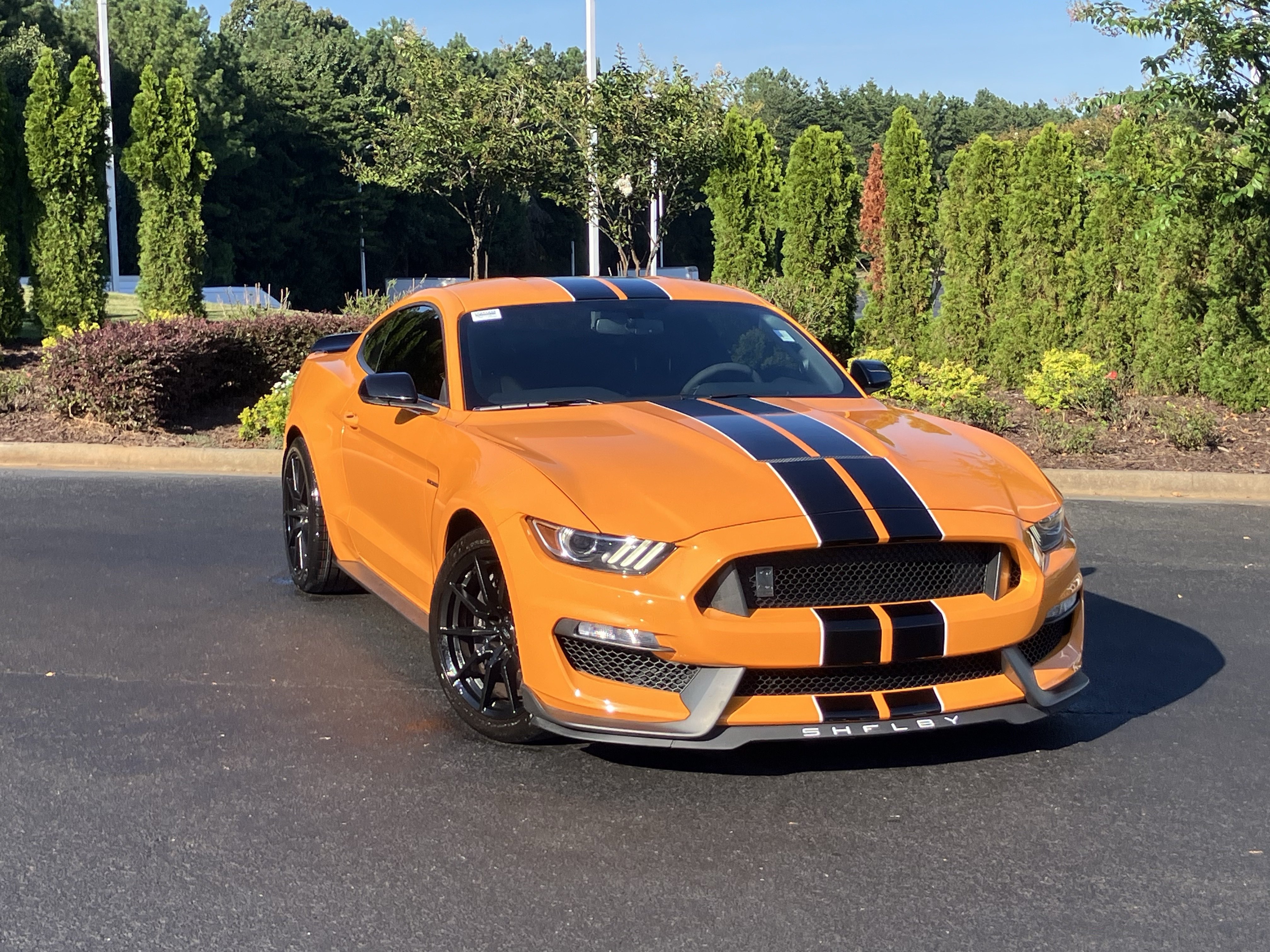 Used 2018 Ford Mustang Shelby GT350 w/ Convenience Package RWD image 2