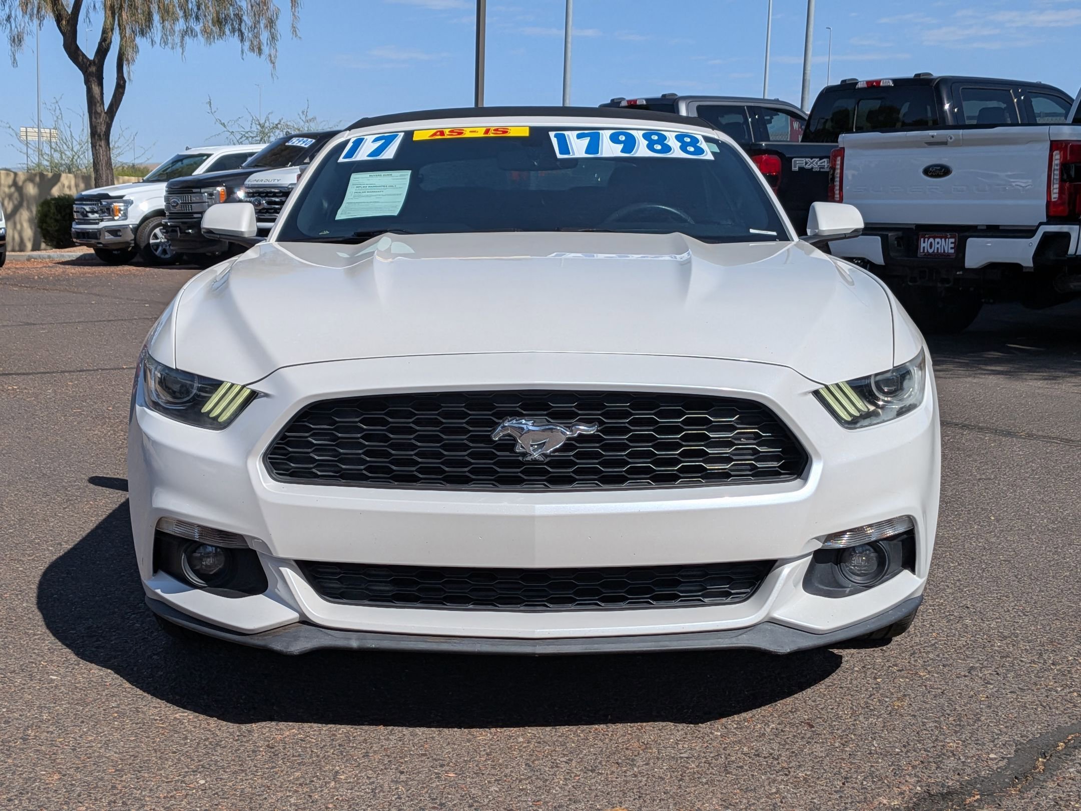 Used 2017 Ford Mustang Premium w/ Ecoboost Performance Package RWD image 2