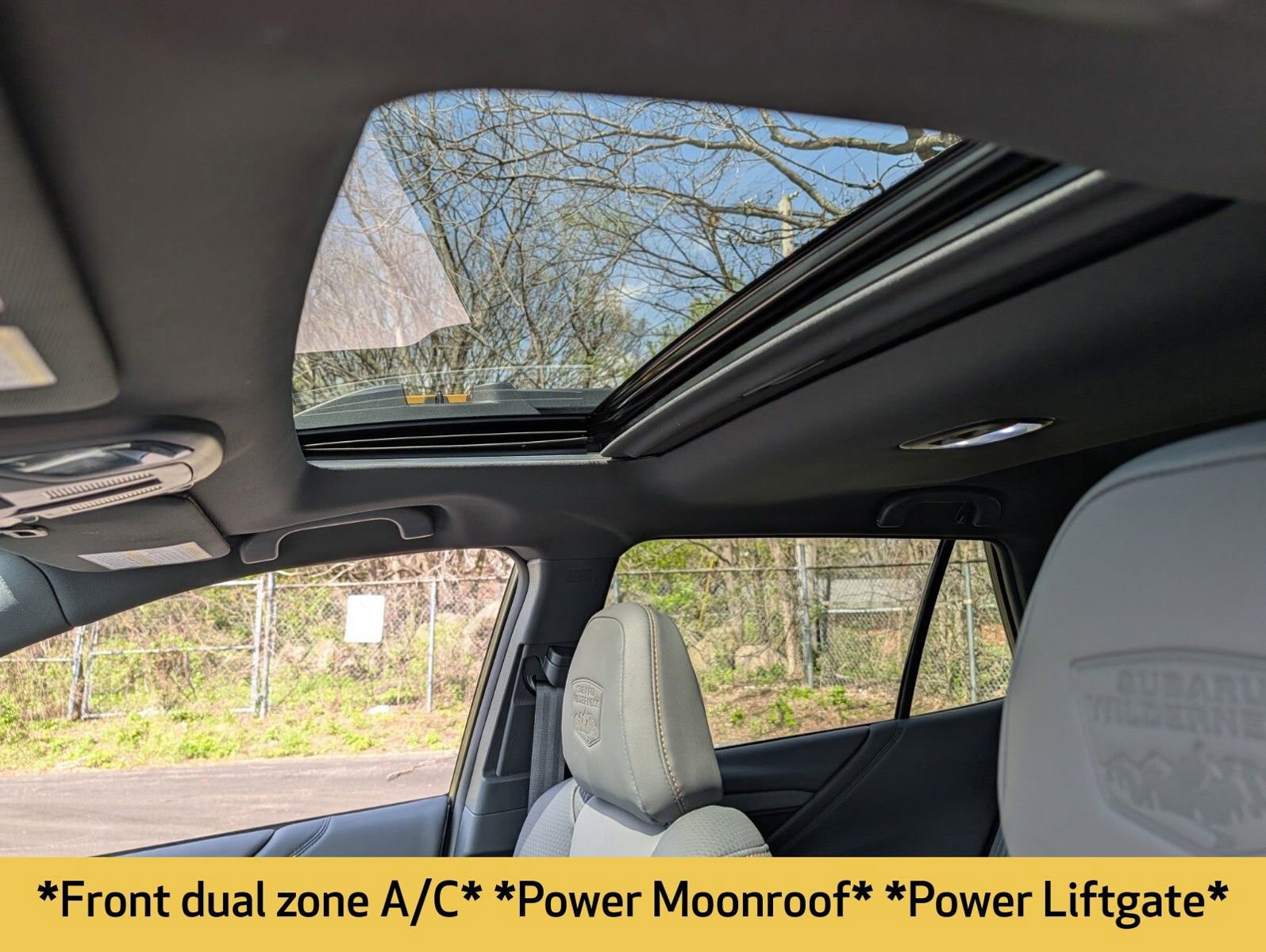 Used 2024 Subaru Outback Wilderness AWD/4WD image 5