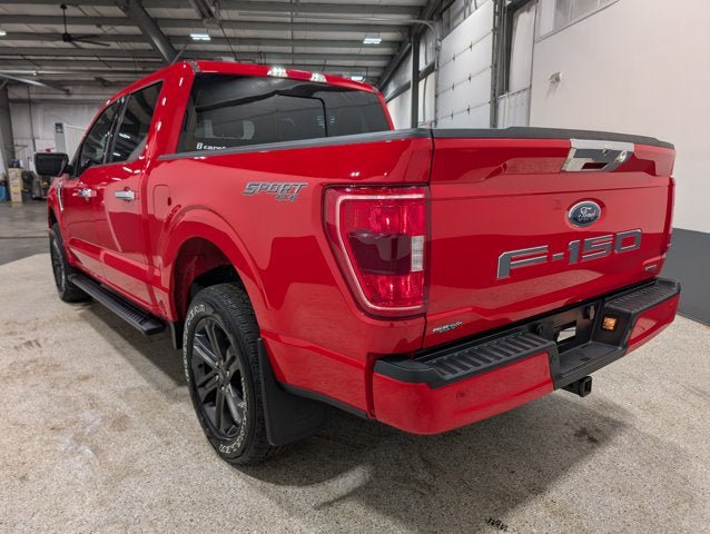 Used 2023 Ford F150 XLT w/ Equipment Group 302A High AWD/4WD image 6