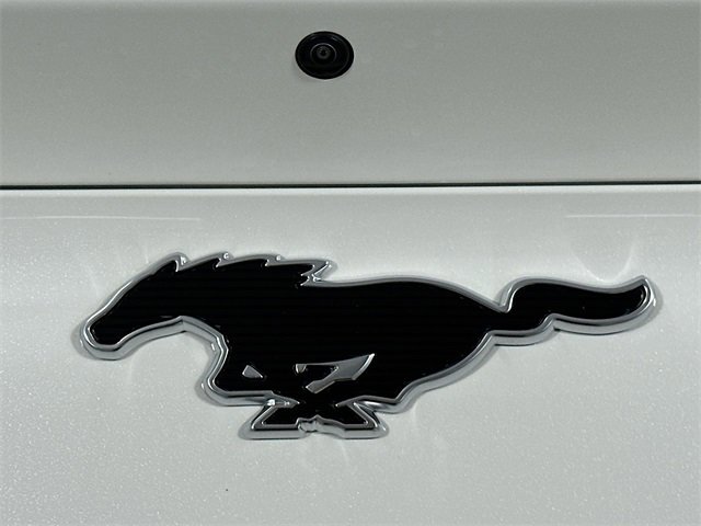 New 2025 Ford Mustang Mach-E Premium w/ Interior Protection Package image 19