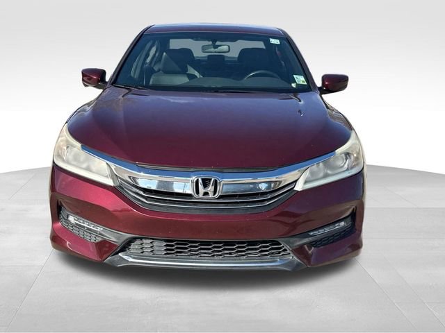 Used 2017 Honda Accord Sport Special Edition image 2
