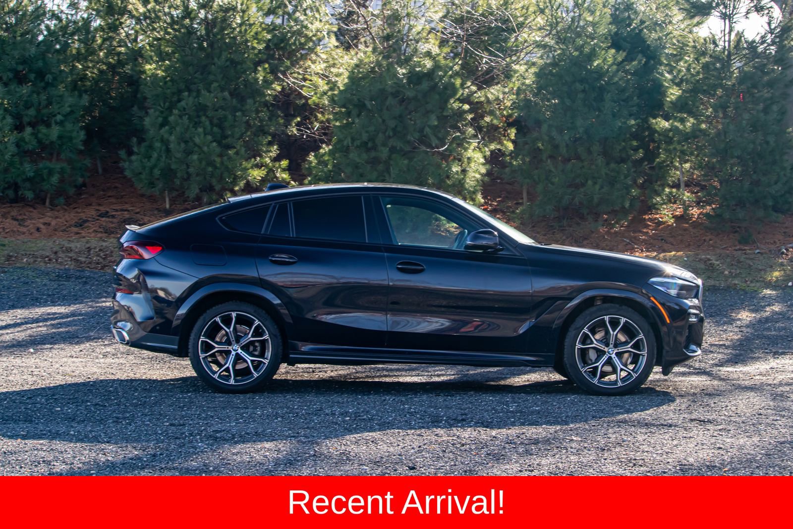 Used 2021 BMW X6 sDrive40i image 10