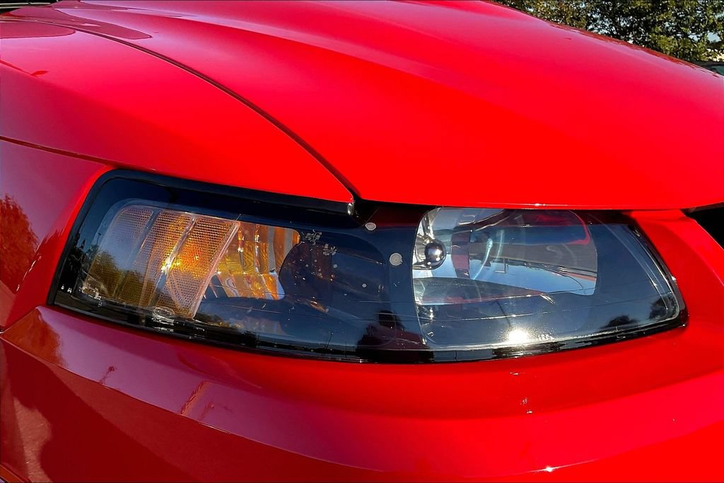 Used 2000 Ford Mustang Cobra RWD image 22