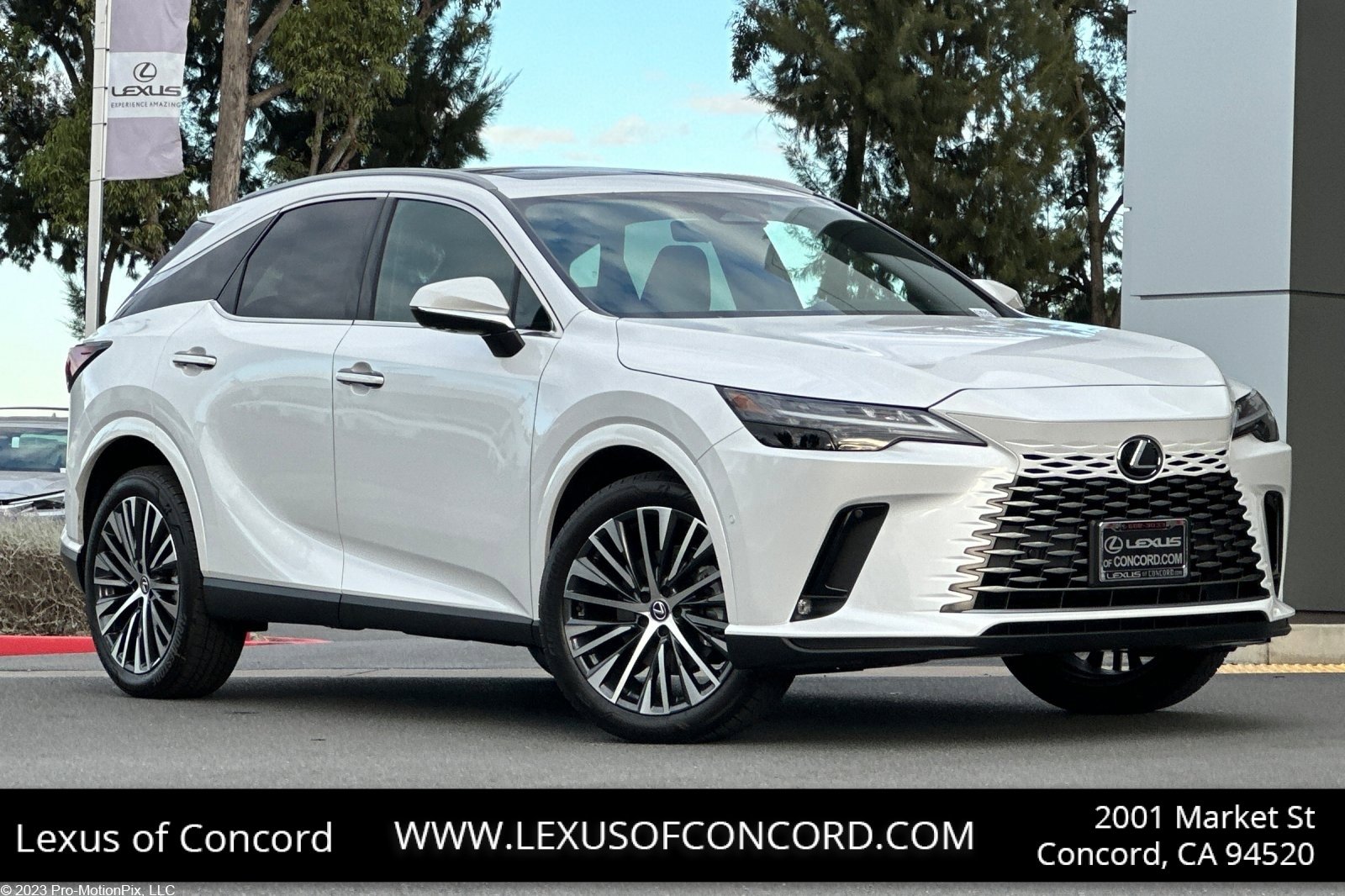 New 2025 Lexus RX 350