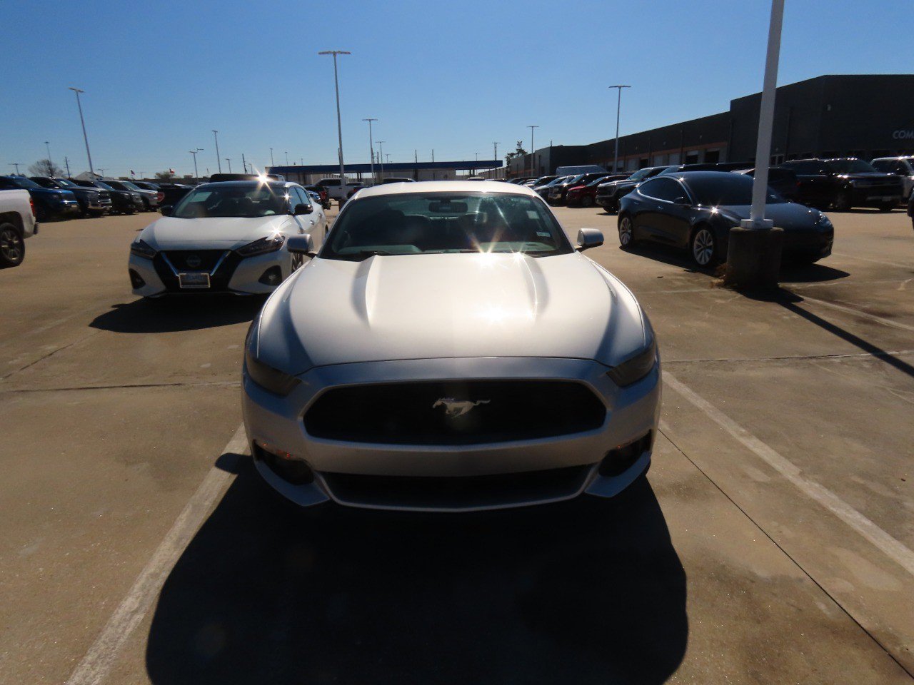 Used 2016 Ford Mustang Premium image 5