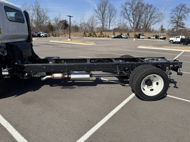 New 2024 Chevrolet Low Cab Forward image 2