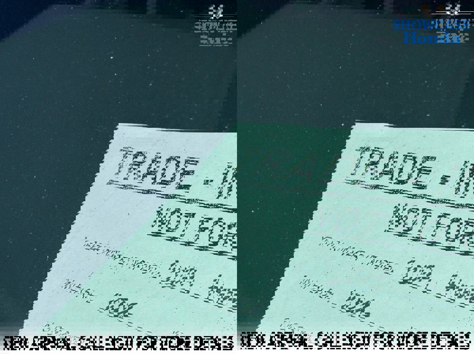 Used 2019 Hyundai Elantra SEL w/ Cargo Package image 14