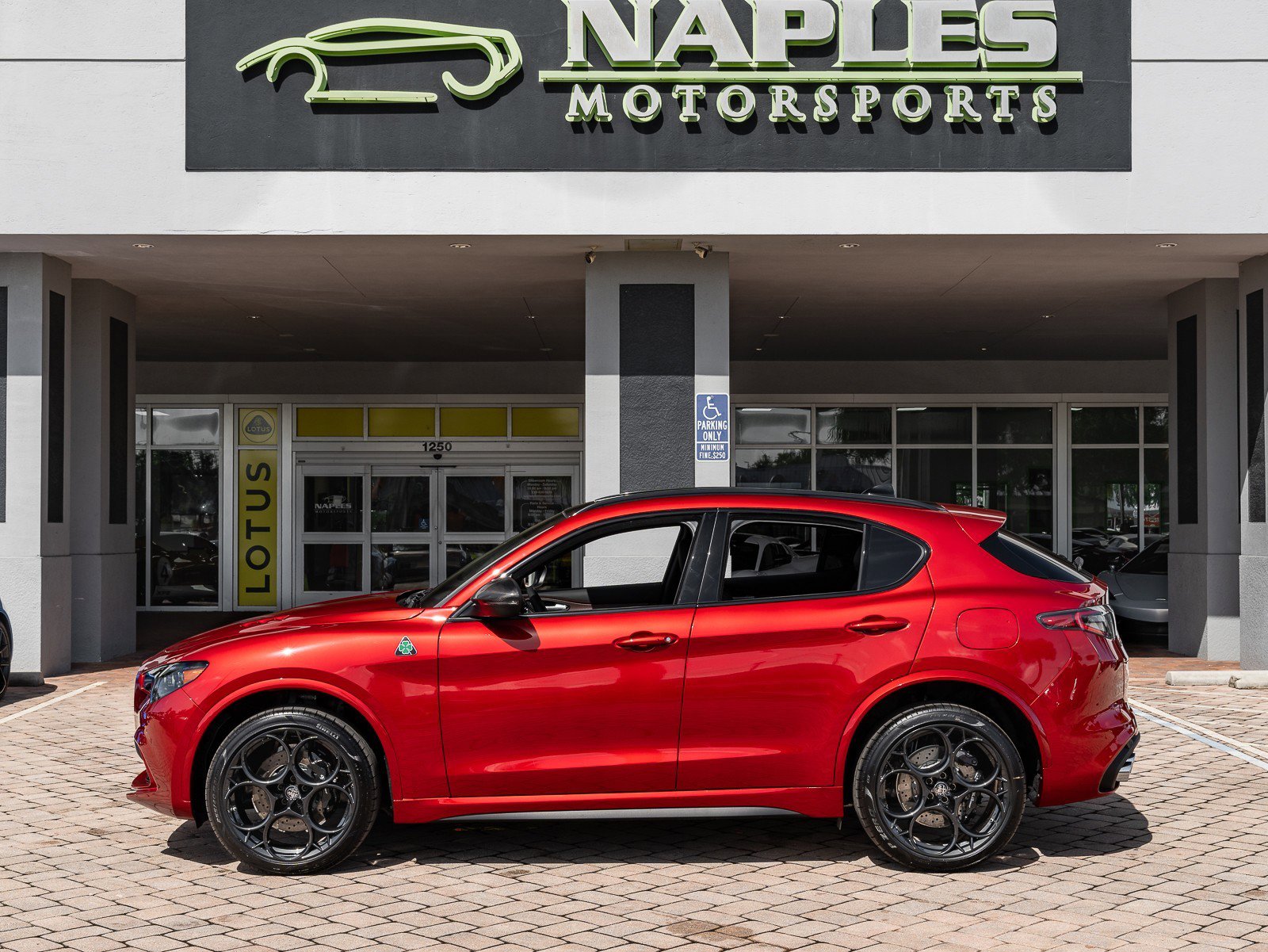New 2024 Alfa Romeo Stelvio Quadrifoglio image 29