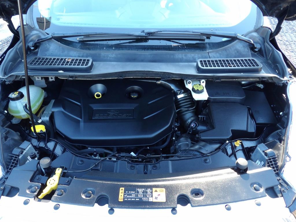 Used 2019 Ford Escape Titanium image 29