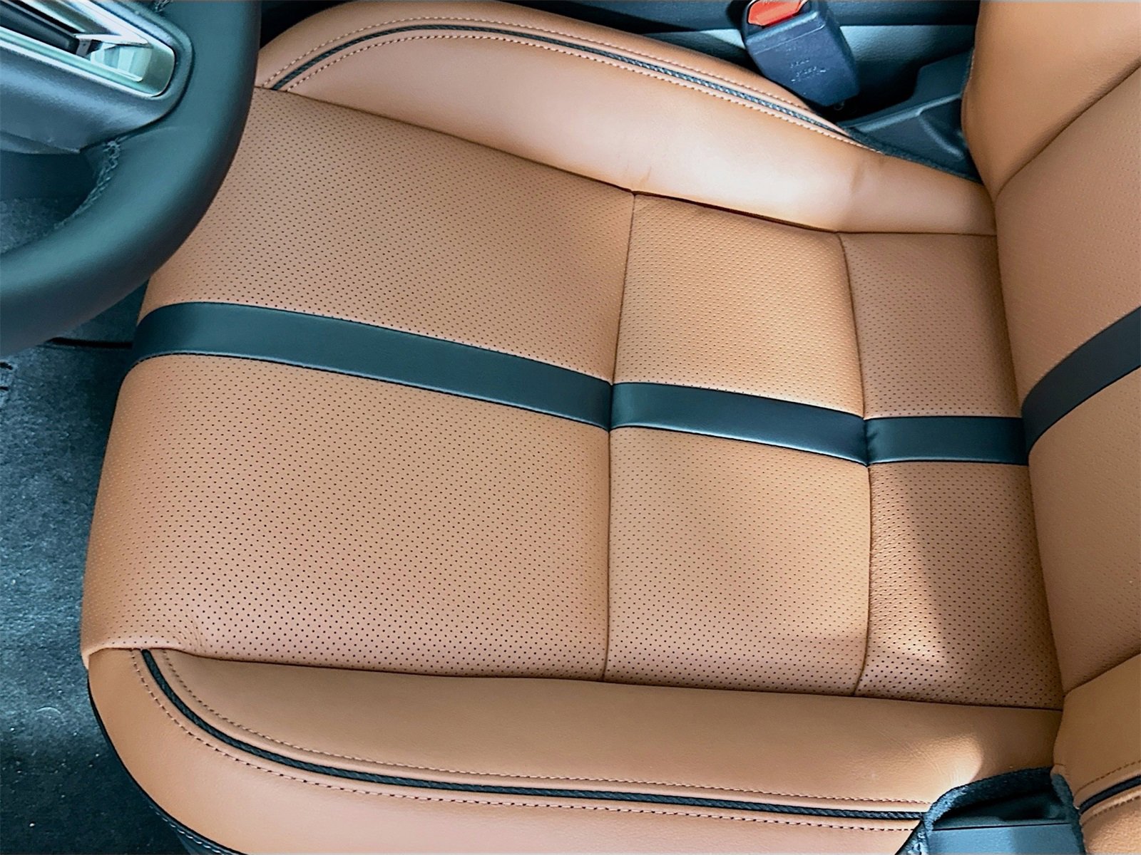 New 2026 MAZDA CX-50 Meridian Edition w/ Apex Package image 20