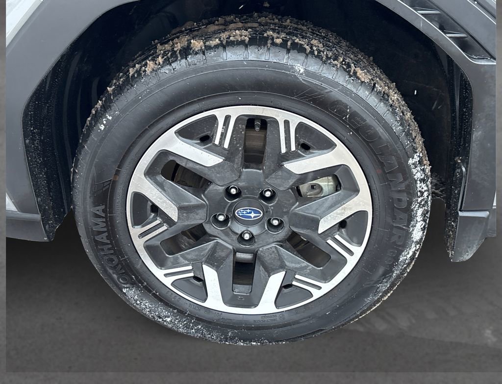 Used 2025 Subaru Forester Premium image 12