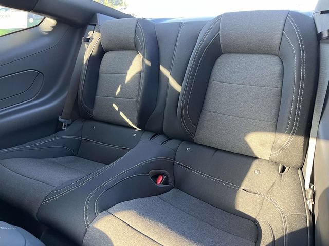 New 2026 Ford Mustang Coupe w/ Mustang Nite Pony Package RWD image 8