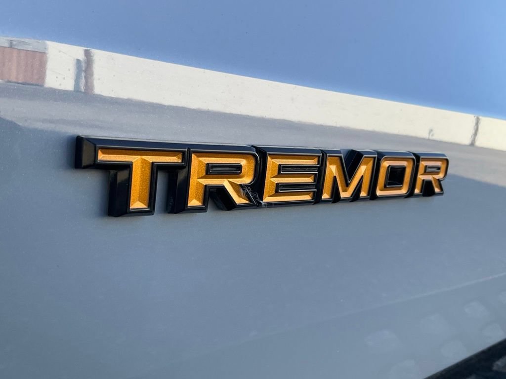 Used 2025 Ford Expedition Tremor AWD/4WD image 13