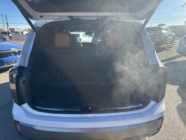 Used 2023 Kia Telluride SX Prestige X-Pro image 14