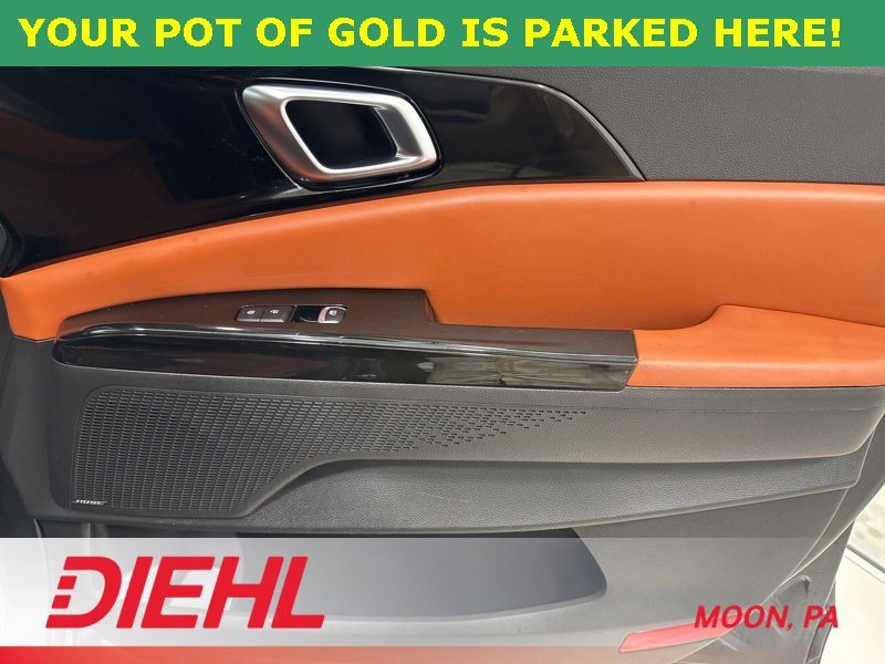 Used 2024 Kia Carnival SX Prestige image 19