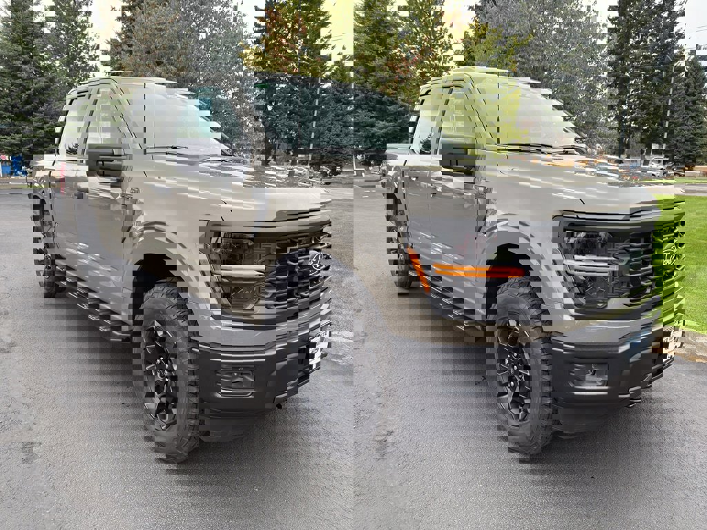 New 2025 Ford F150 STX