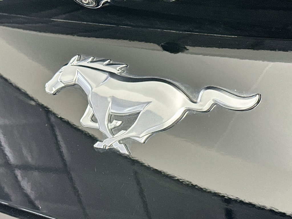 Used 2026 Ford Mustang Coupe RWD image 28