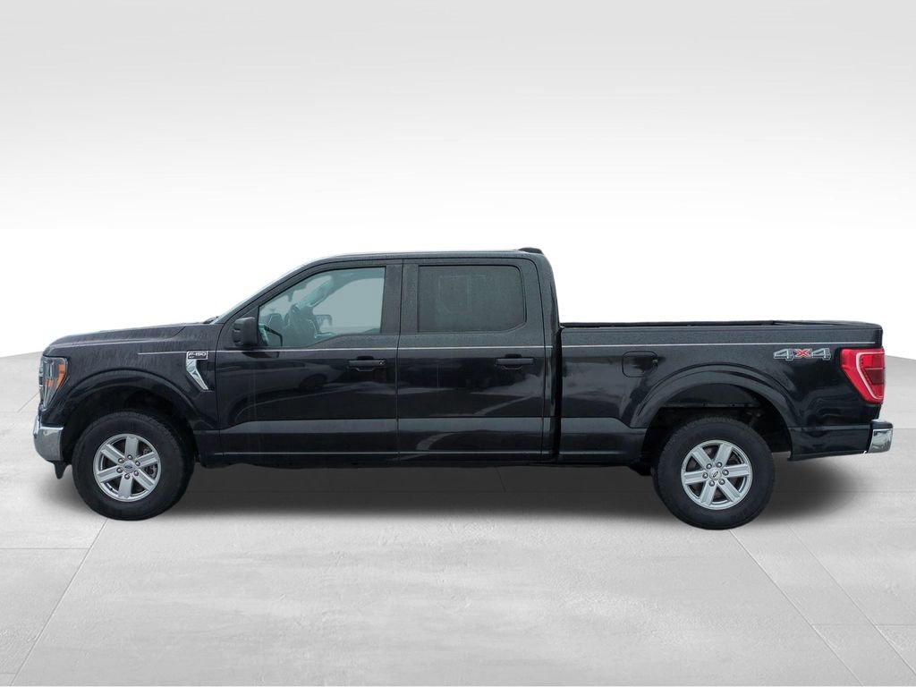Used 2023 Ford F150 XLT image 7