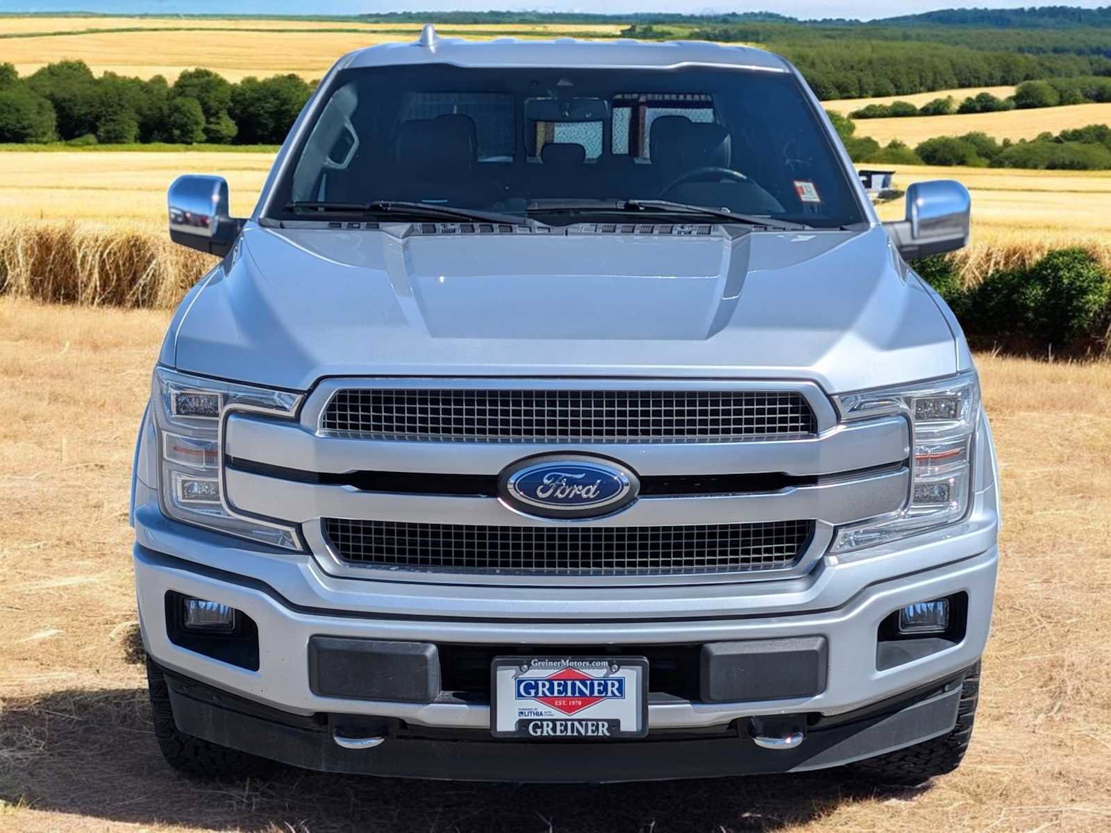 Certified 2019 Ford F150 Platinum image 9