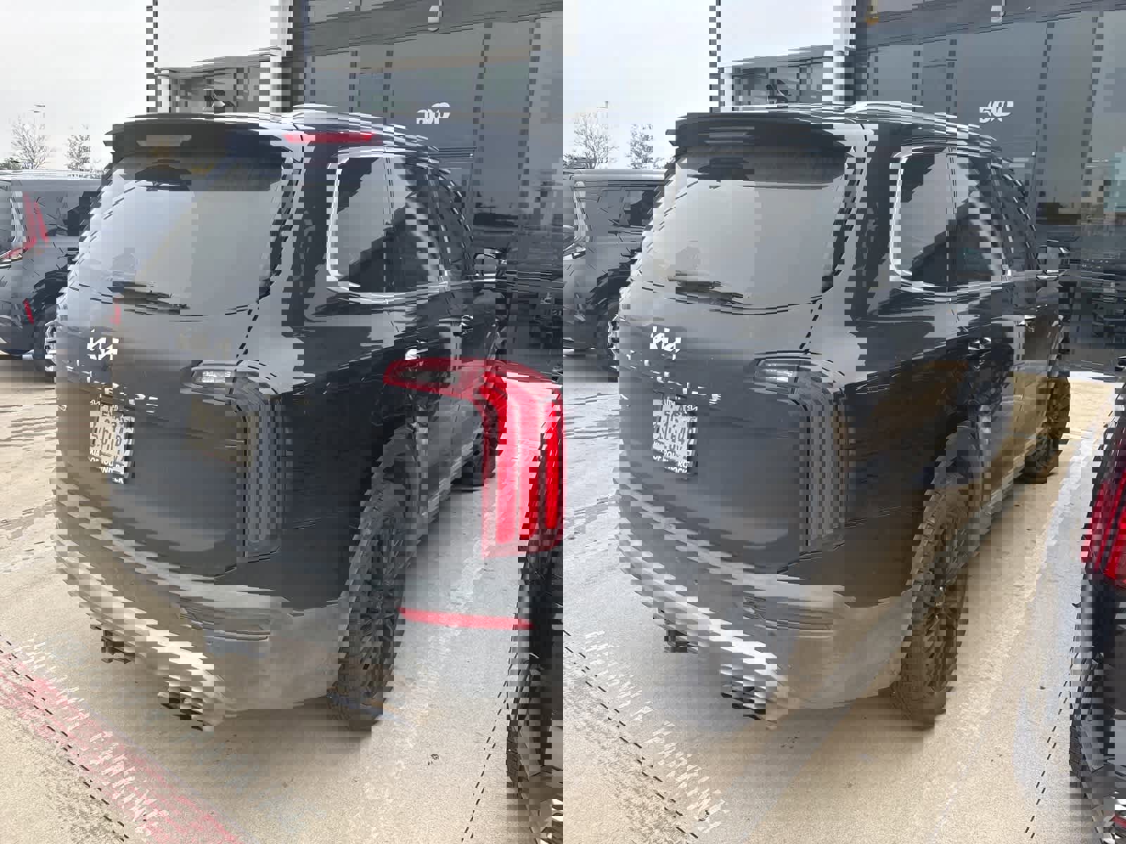 Used 2022 Kia Telluride SX w/ SX Prestige Package image 7